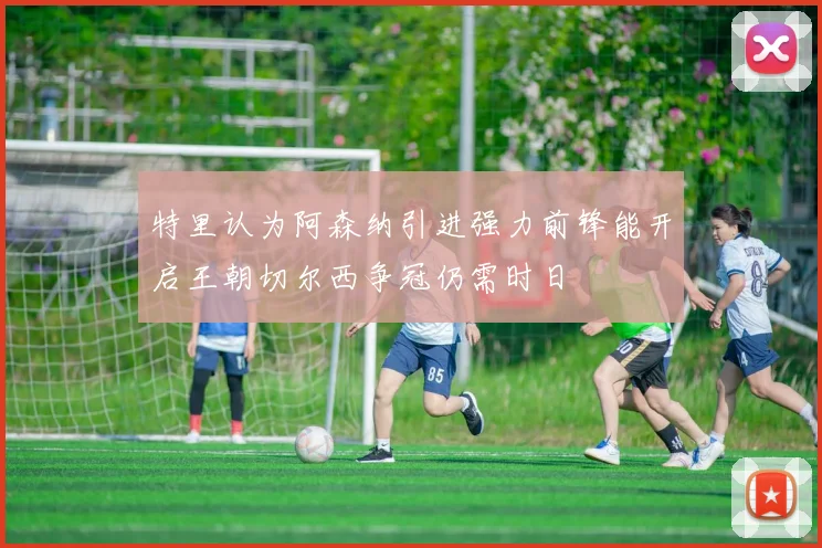 特里认为阿森纳引进强力前锋能开启王朝切尔西争冠仍需时日