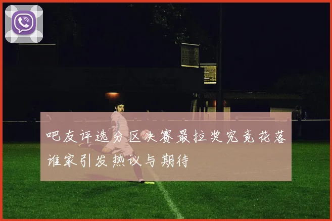 吧友评选分区决赛最拉奖究竟花落谁家引发热议与期待